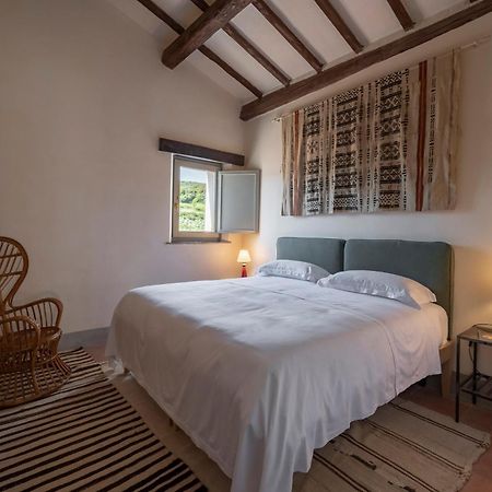 Locanda Fontelupa Campagnatico Phòng bức ảnh